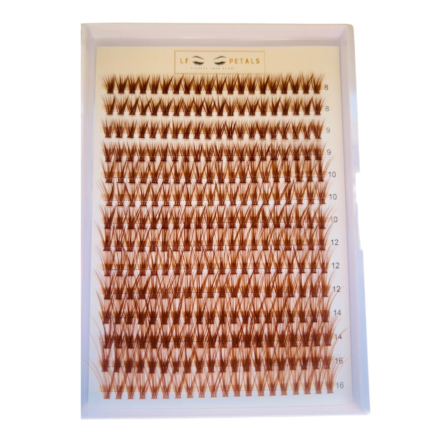 Brown Cluster Lashes- L Curl