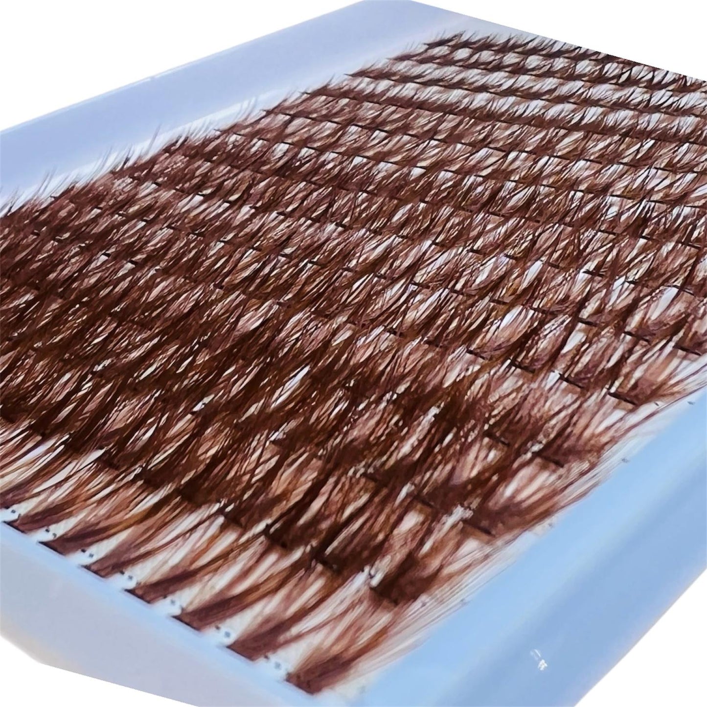 Brown Cluster Lashes- L Curl