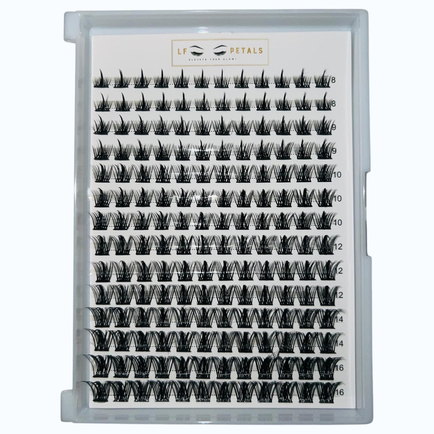 Wispy DIY Lashes
