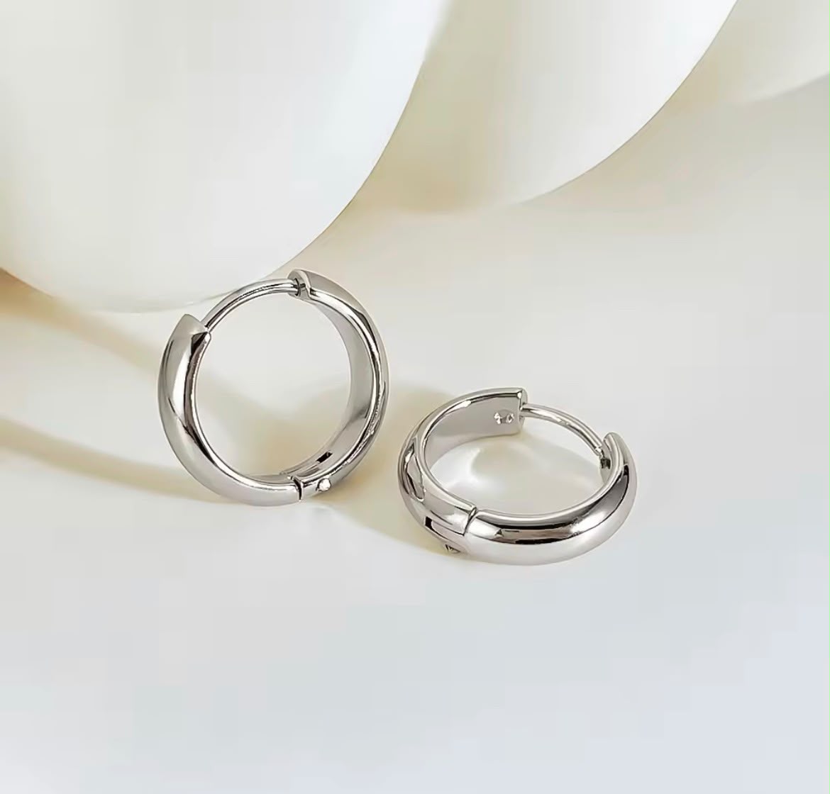 Titanium Silver Hoop Earrings